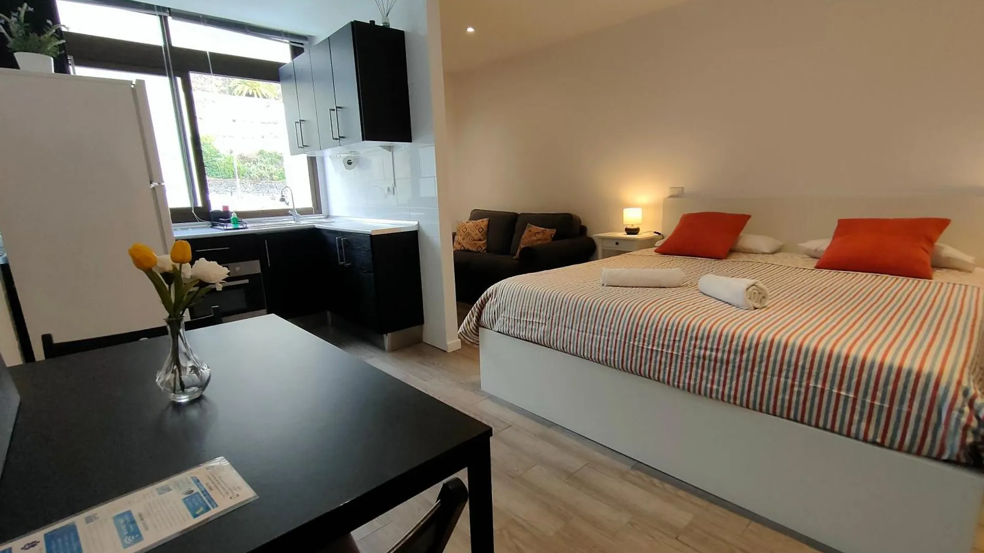 Apartamento Sea loft Icod De Los Vinos